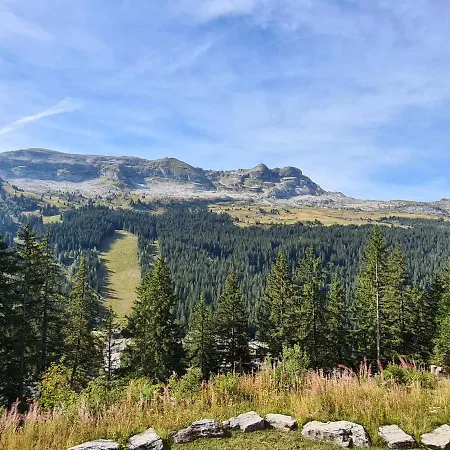 Daire Renove Avec Balcon Sud, Casier A Ski, Proche Pistes Et Commerces - Fr-1-425-156